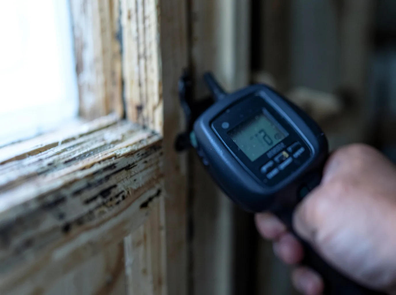 Commercial Water Damage Restoration in Red Cliff, CO